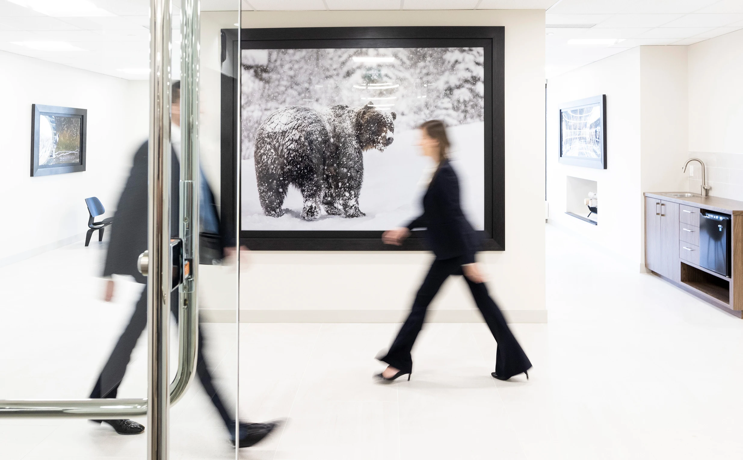 Office environment with large framed photo of a snowy bear